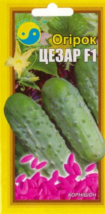 Огурец Цезарь F1,   1г - 5г