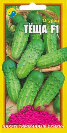 Огурец Теща F1, 0,5г